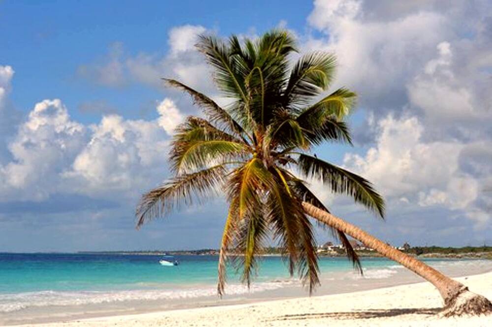 Photo of Others in Costa Maya