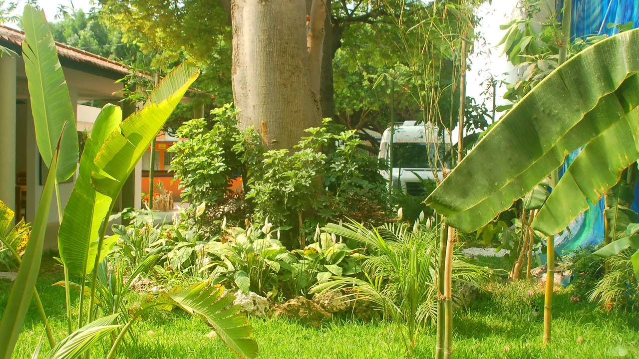 Photo of Outdoor in Tuxtla Gutierrez