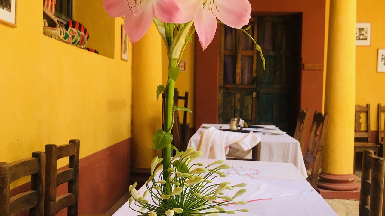 Photo of Others in Del Cerrillo
