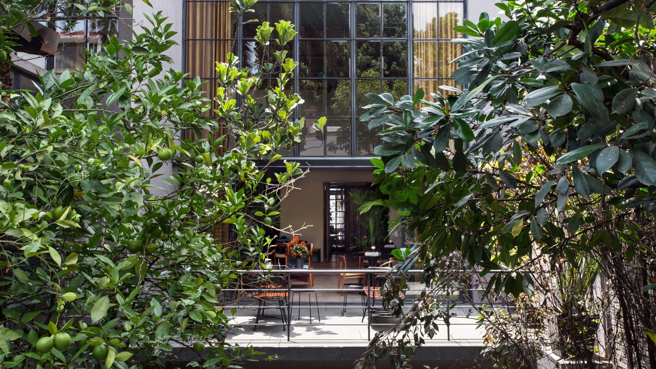 Photo of Outdoor in La Condesa