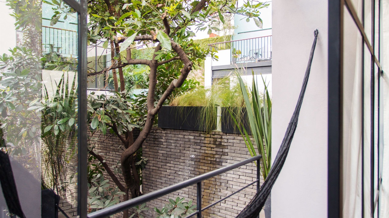Photo of Outdoor in La Condesa