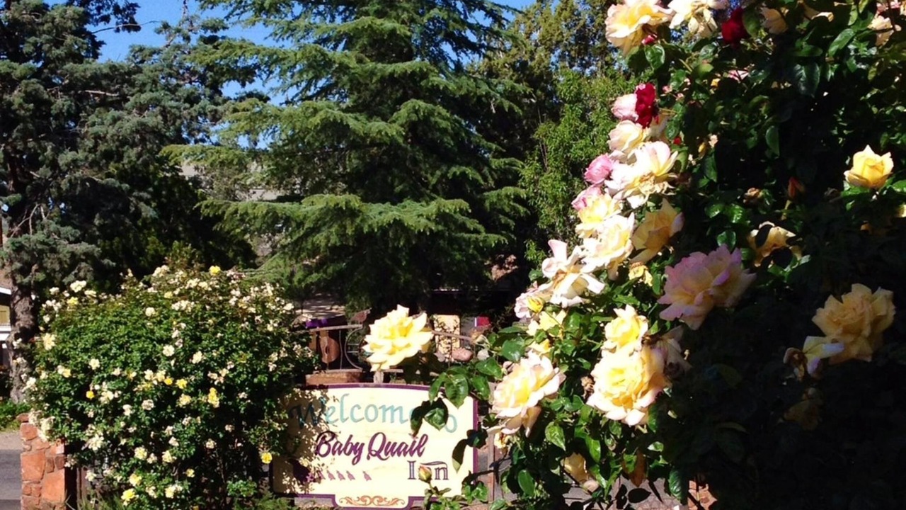 Photo of Outdoor in West Sedona