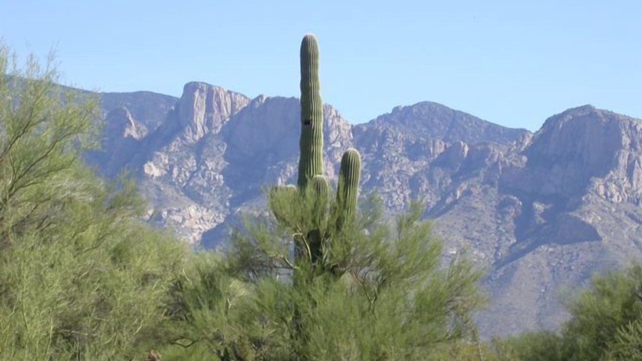 Photo of Outdoor in Tortolita