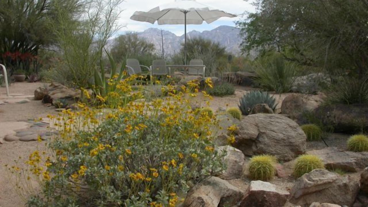 Photo of Outdoor in Tortolita