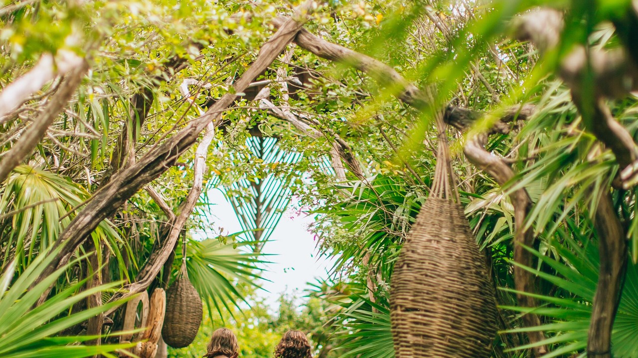 Photo of Outdoor in Playa Paraiso