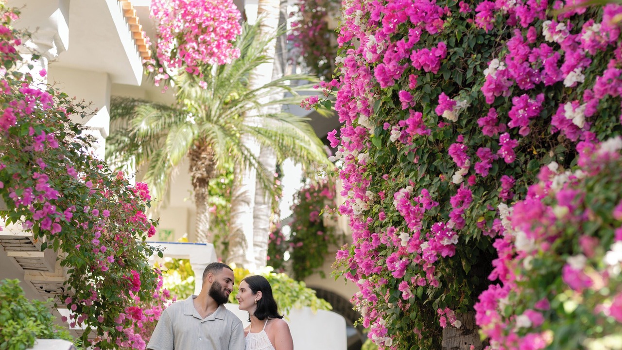 Photo of Outdoor in Cabo San Lucas