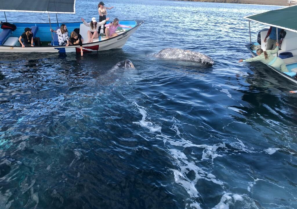 Photo of Others in La Paz