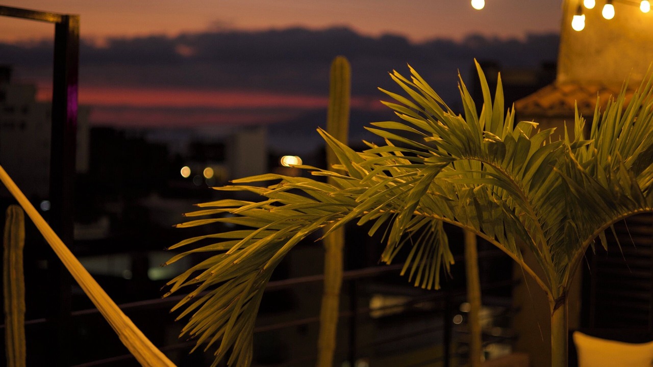Photo of Outdoor in Emiliano Zapata