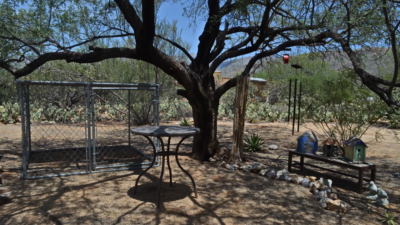 Photo of Outdoor in Tanque Verde