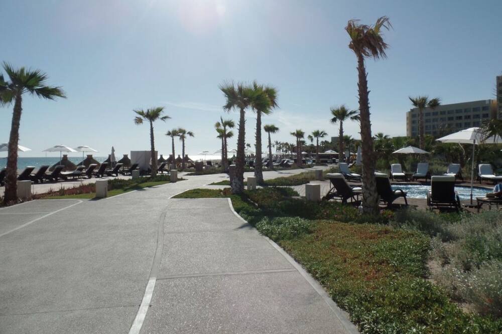 Photo of Others in Puerto Penasco