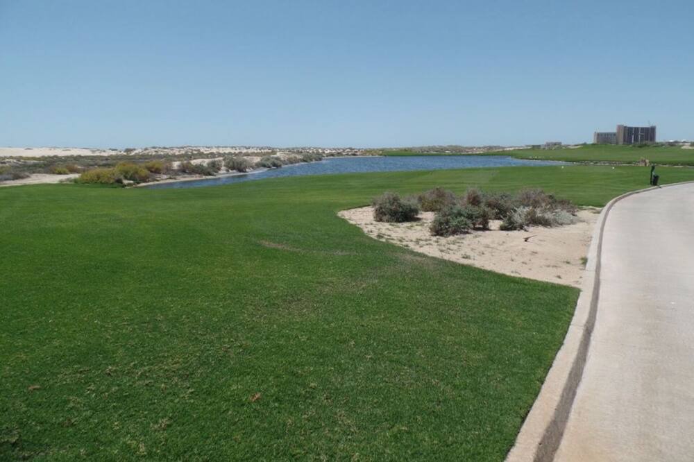 Photo of Others in Puerto Penasco