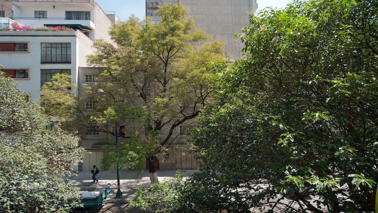 Photo of Outdoor in Polanco