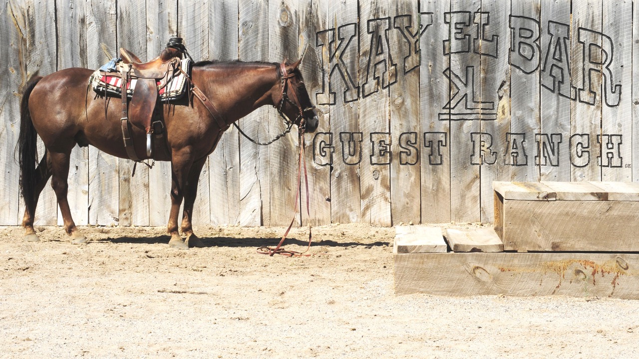 Photo of Outdoor in Wickenburg