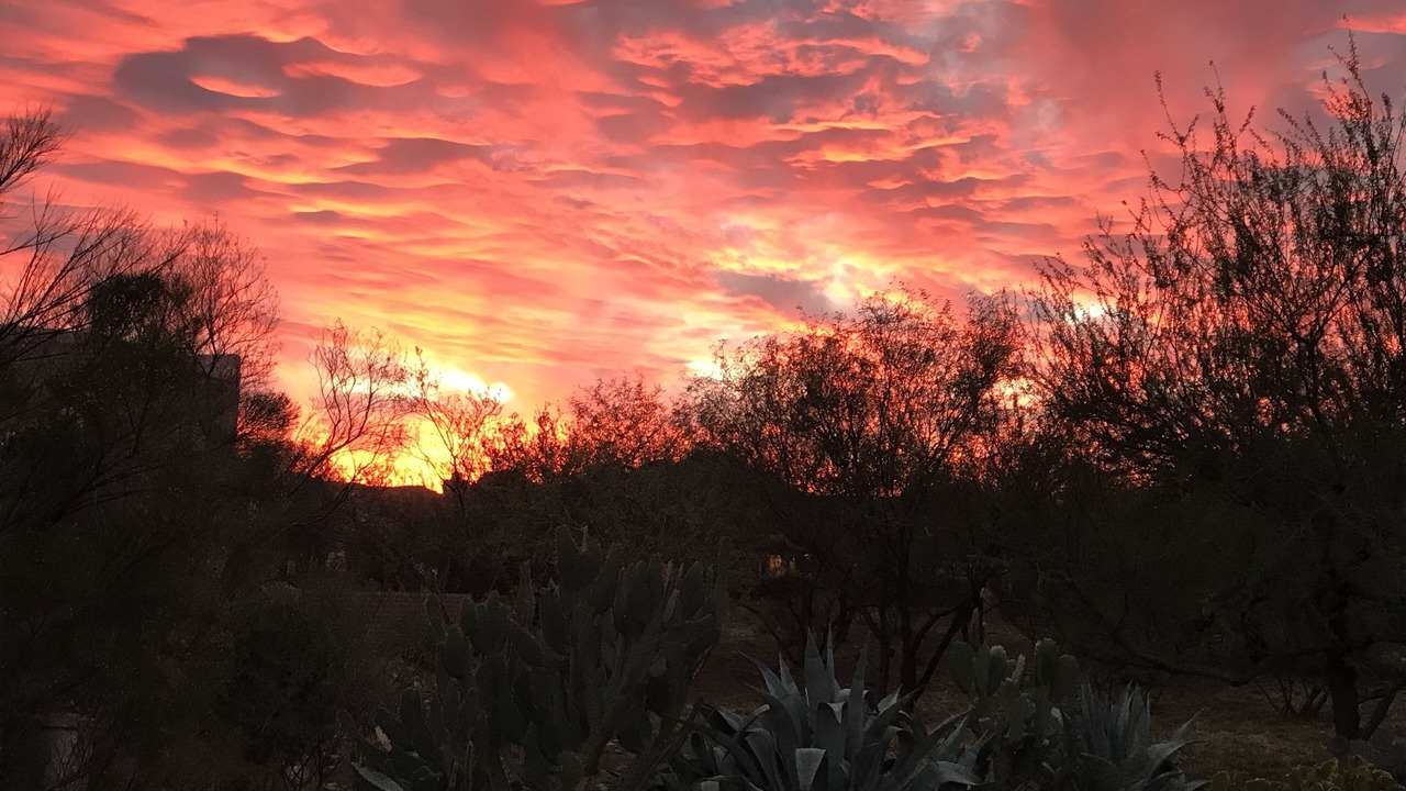 Photo of Outdoor in Tubac