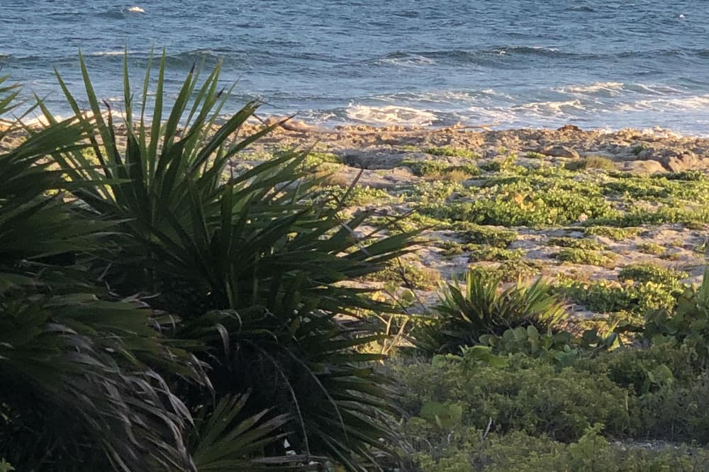 Photo of Others in Akumal