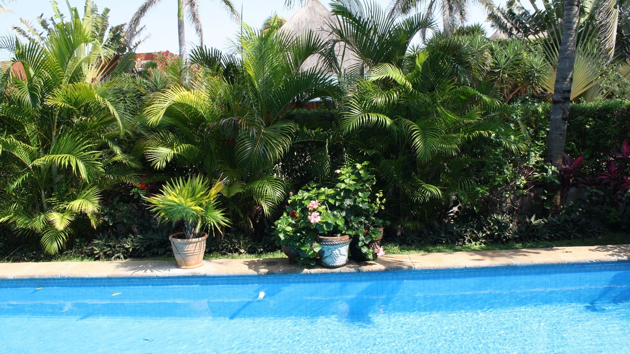 Photo of Outdoor in Playacar Fase I