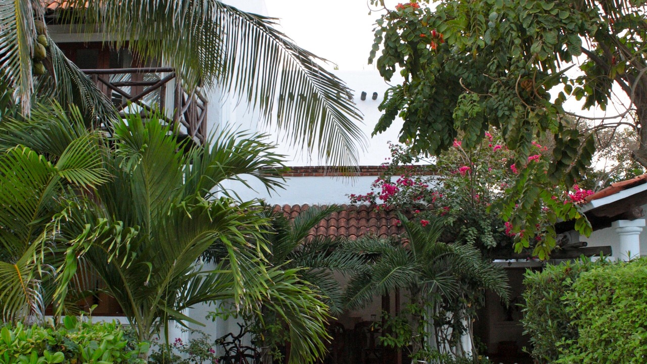 Photo of Outdoor in Playacar Fase I