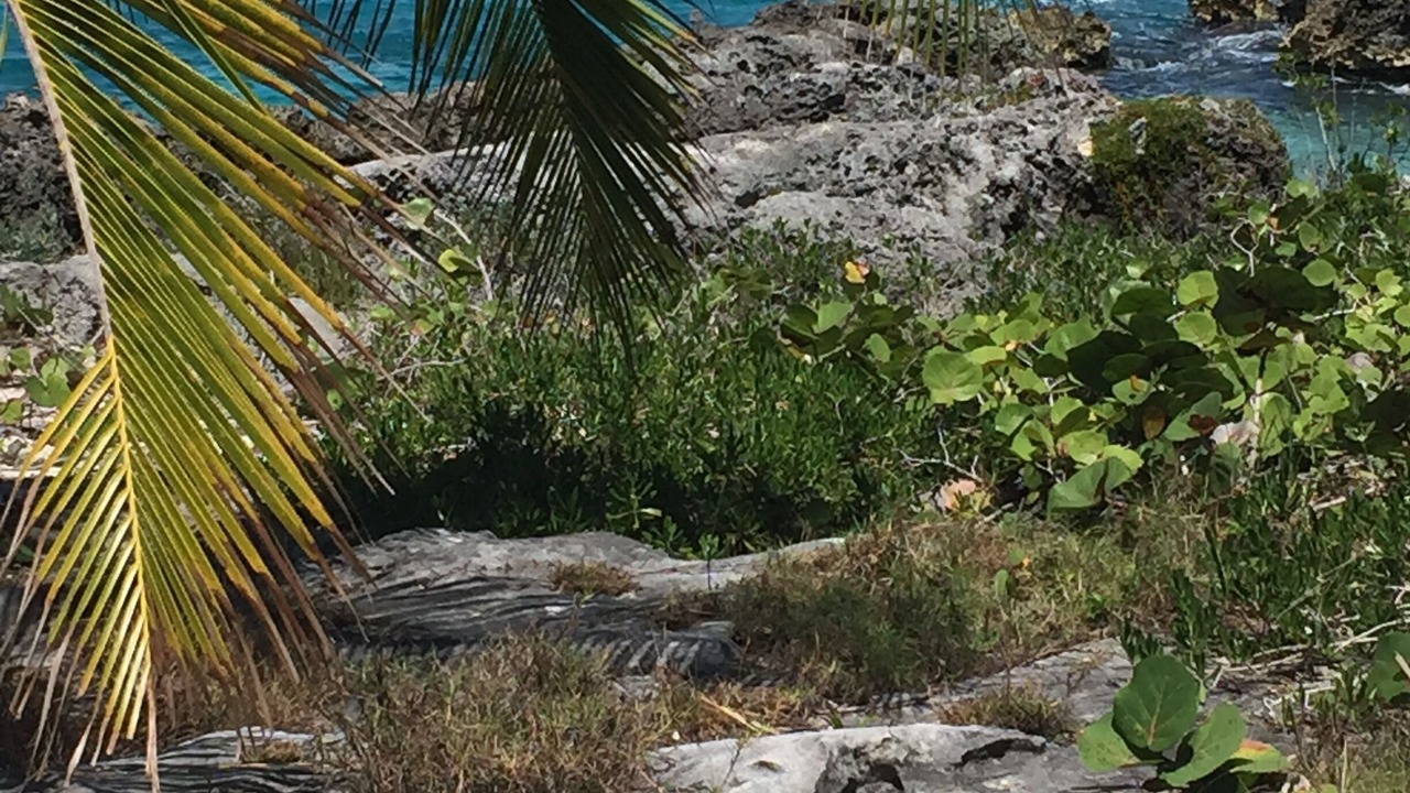 Photo of Outdoor in San Miguel