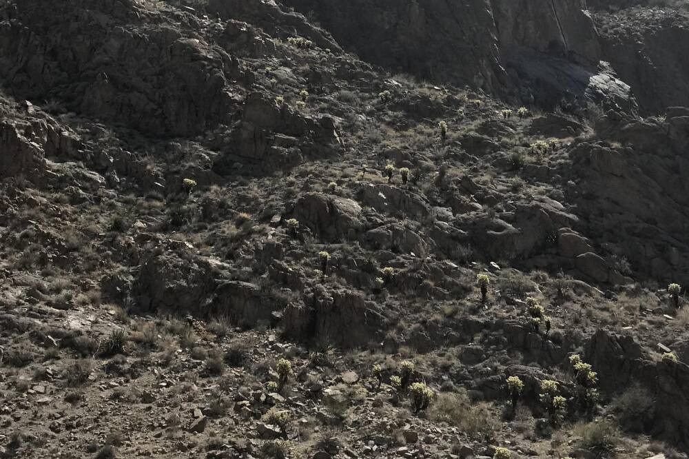 Photo of Others in Fort Mohave
