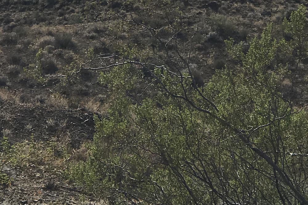 Photo of Others in Fort Mohave