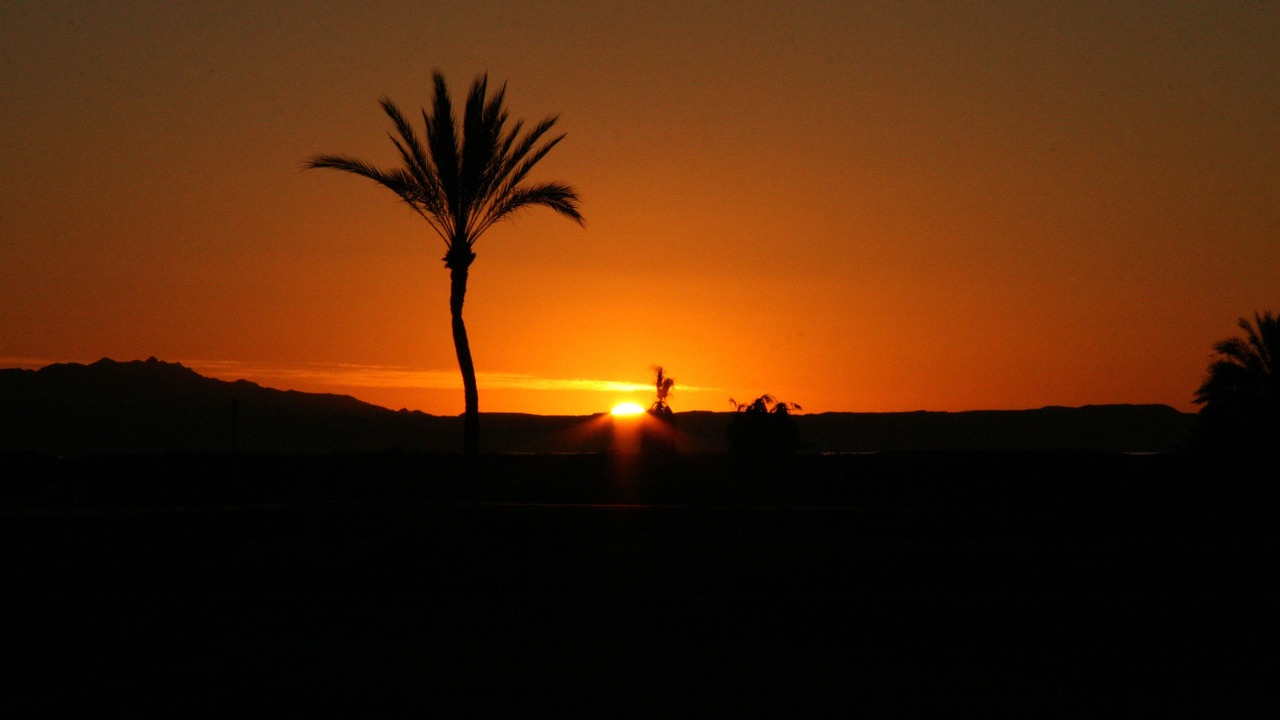 Photo of Others in Nopolo