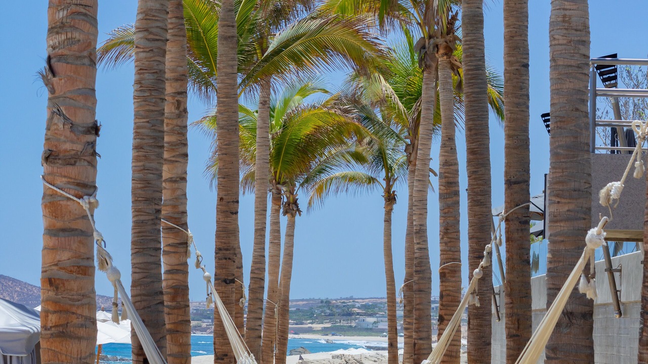 Photo of Others in Cabo San Lucas