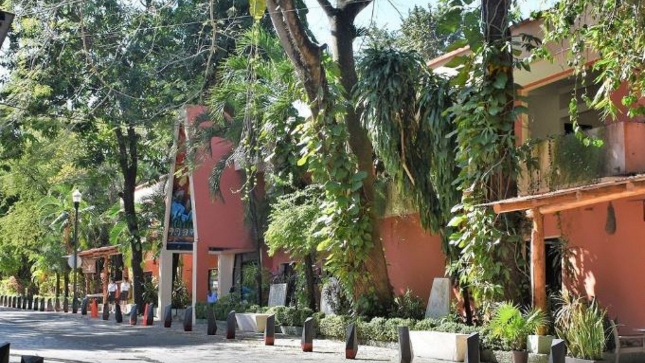 Photo of Outdoor in Palenque