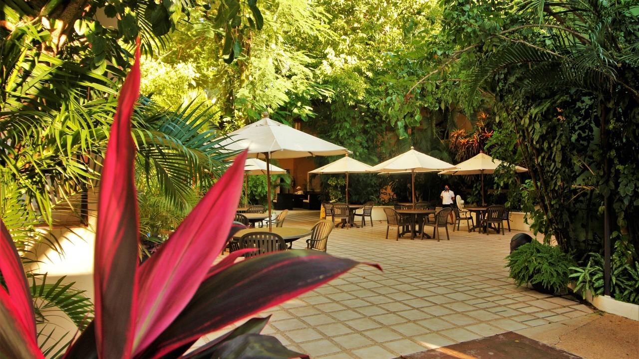 Photo of Outdoor in Palenque