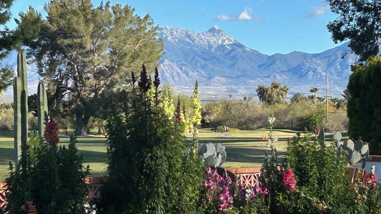 Photo of Others in Green Valley Fairways