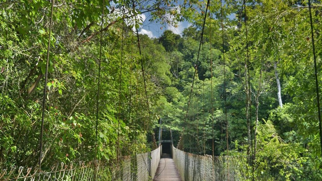 Photo of Outdoor in Gallo Giro