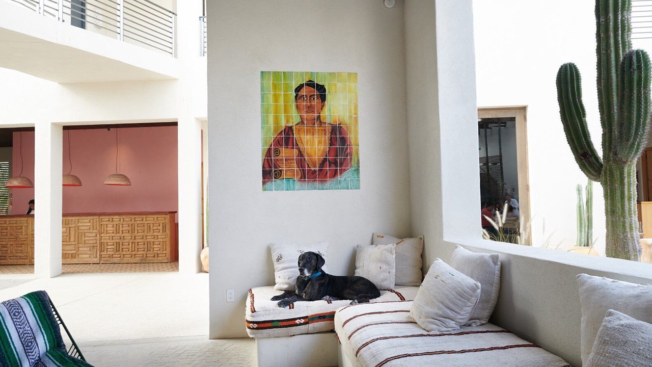 Photo of Others in Todos Santos