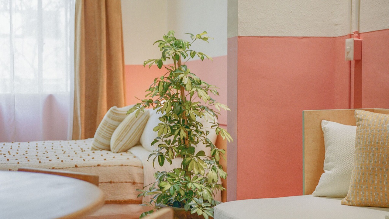 Photo of Bedroom in Hipodromo