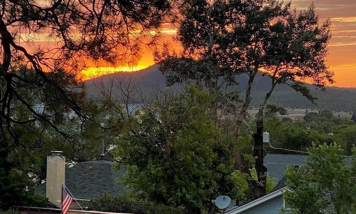 Photo of Outdoor in Williams