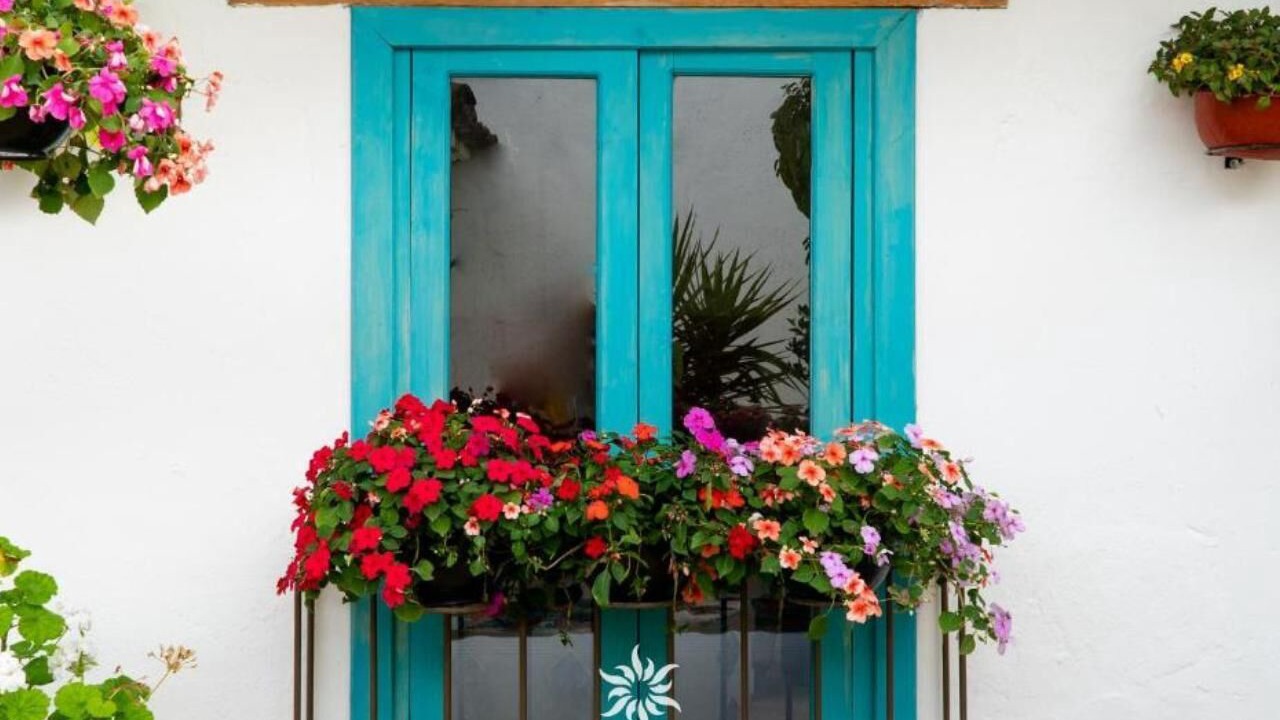 Photo of Outdoor in De Guadalupe