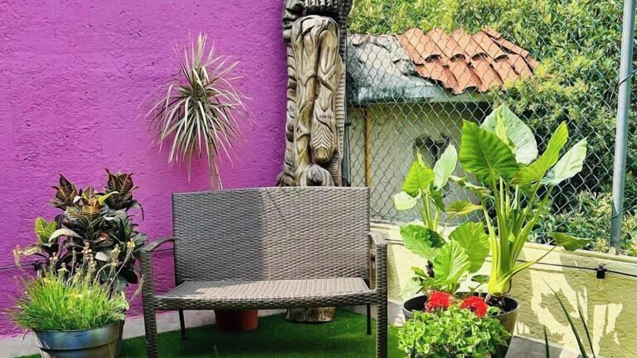 Photo of Outdoor in Hipodromo