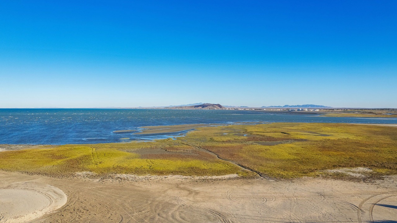 Photo of Others in Cholla Bay