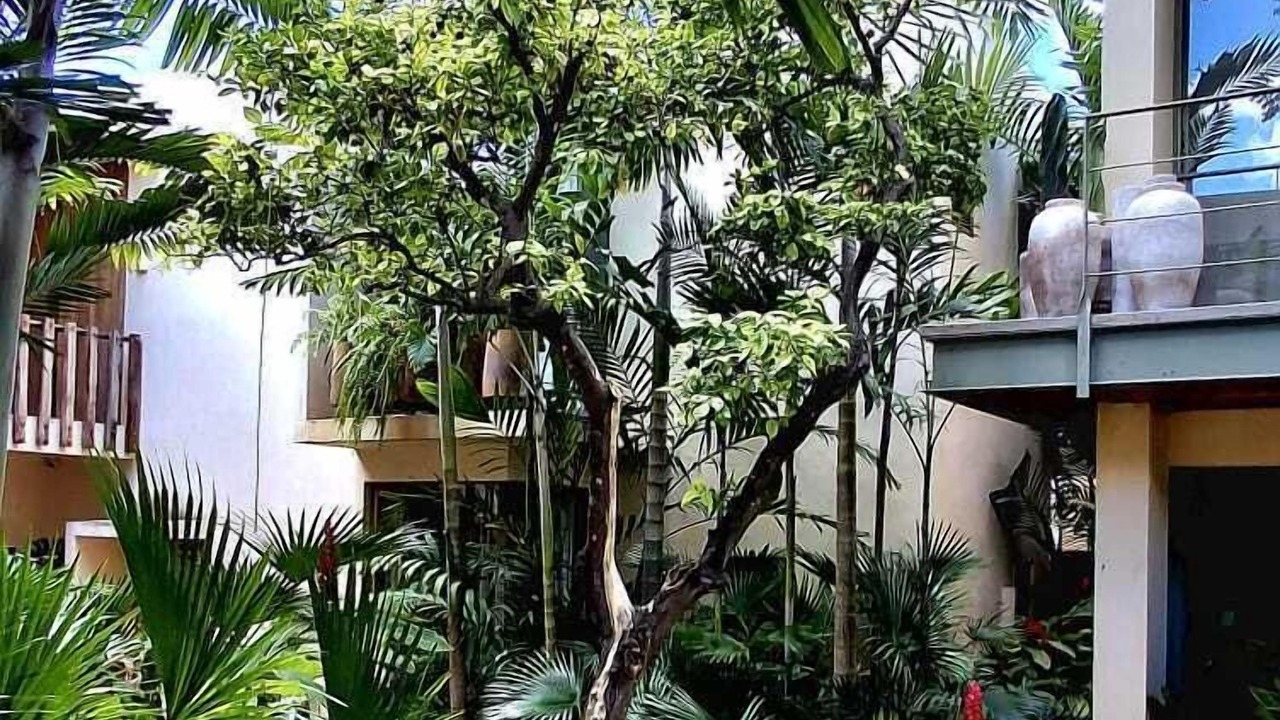 Photo of Outdoor in Barrio de Santiago