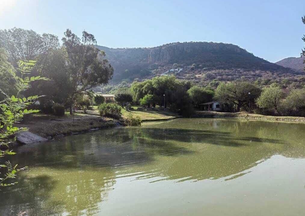 Photo of Outdoor in Celaya