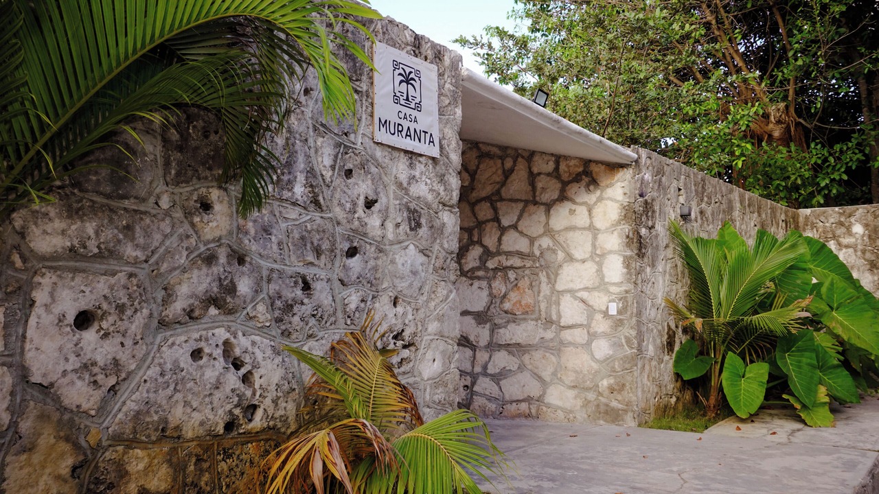 Photo of Outdoor in Alfredo V. Bonfil