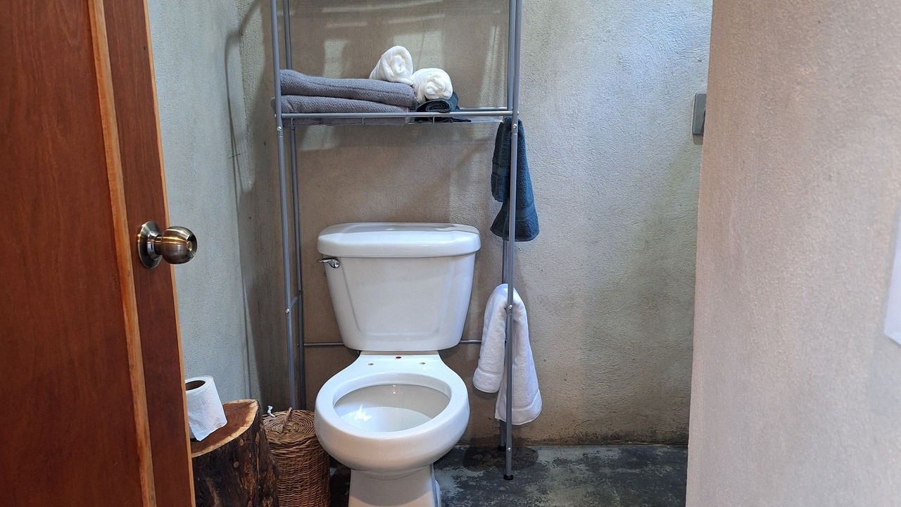 Photo of Bathroom in Valladolid