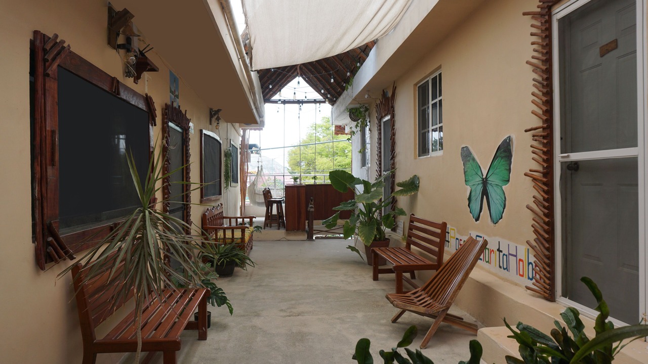 Photo of Livingroom in Downtown Holbox