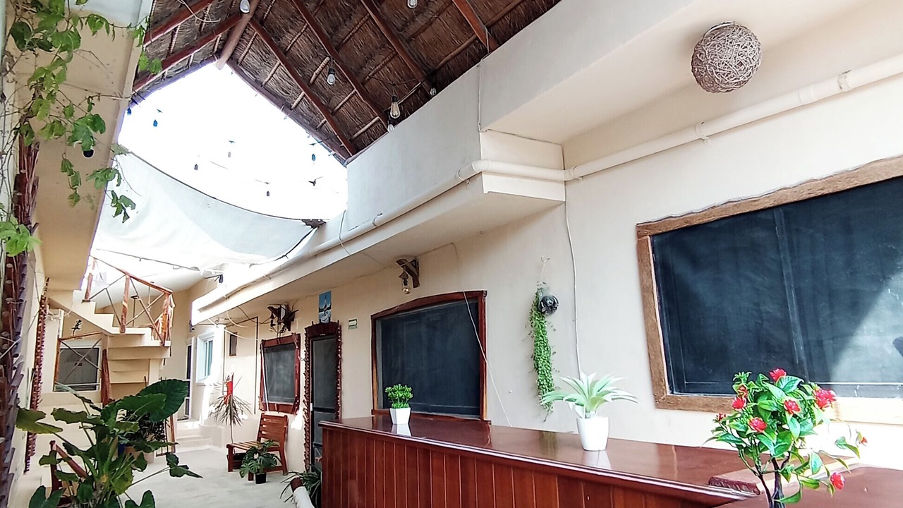 Photo of Livingroom in Downtown Holbox