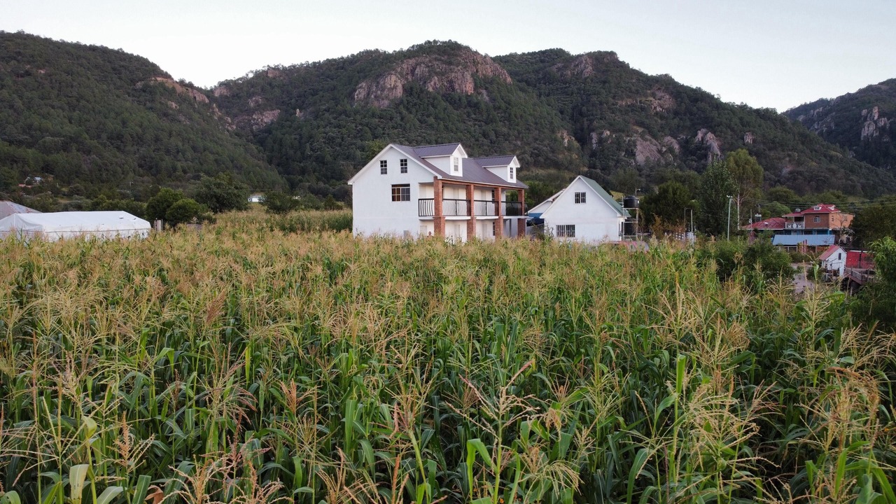 Photo of Outdoor in Cerocahui
