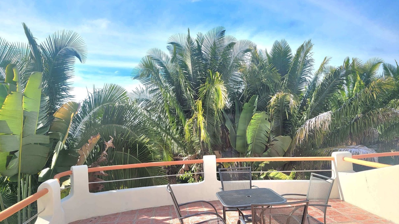 Photo of Outdoor in Chacala