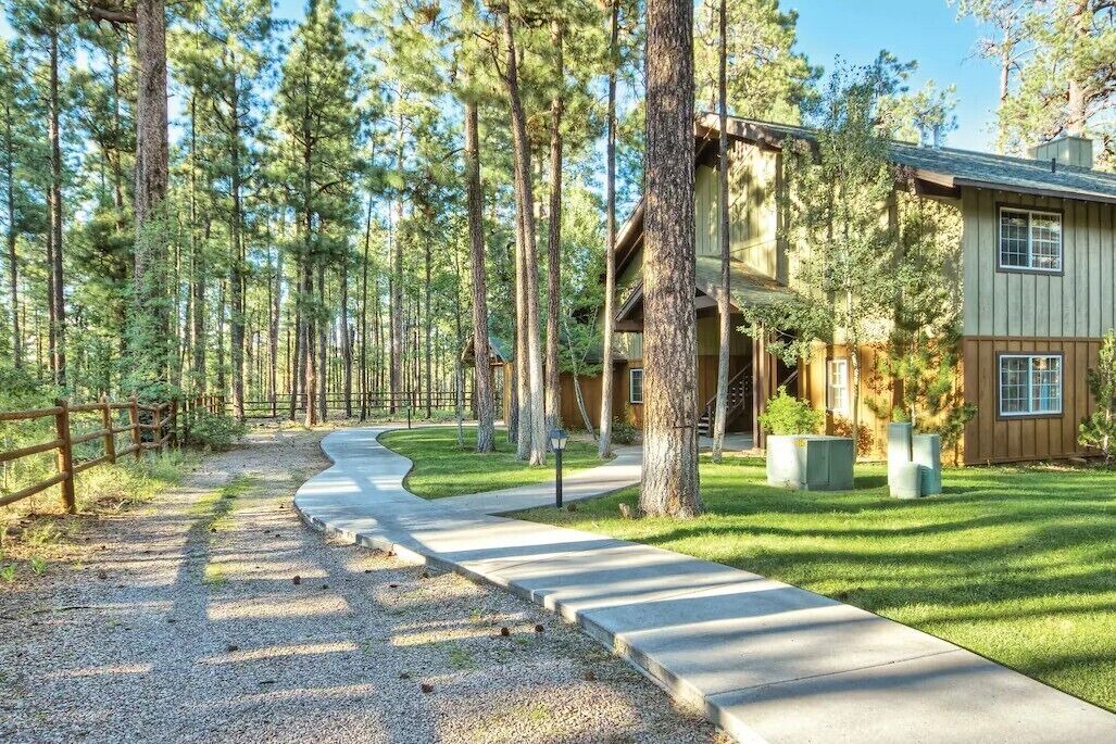 Photo of Outdoor in Pinetop