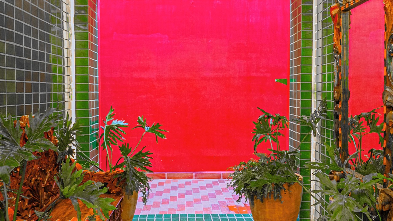 Photo of Others in Guadalajara