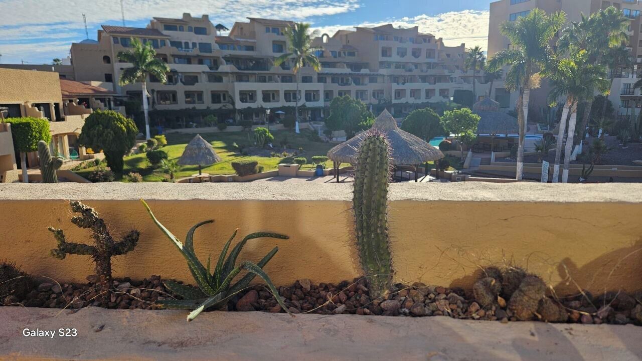 Photo of Outdoor in San Carlos