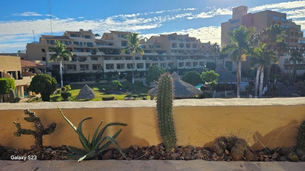 Photo of Outdoor in San Carlos