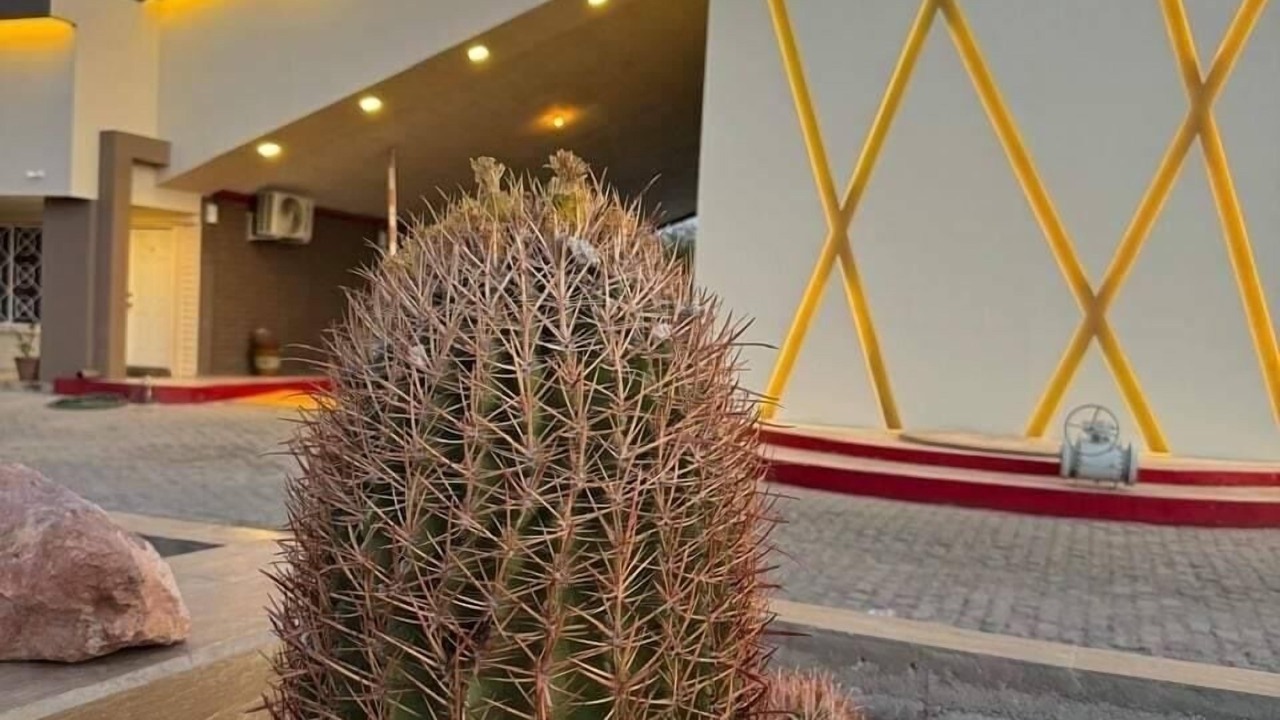 Photo of Outdoor in Mexicali