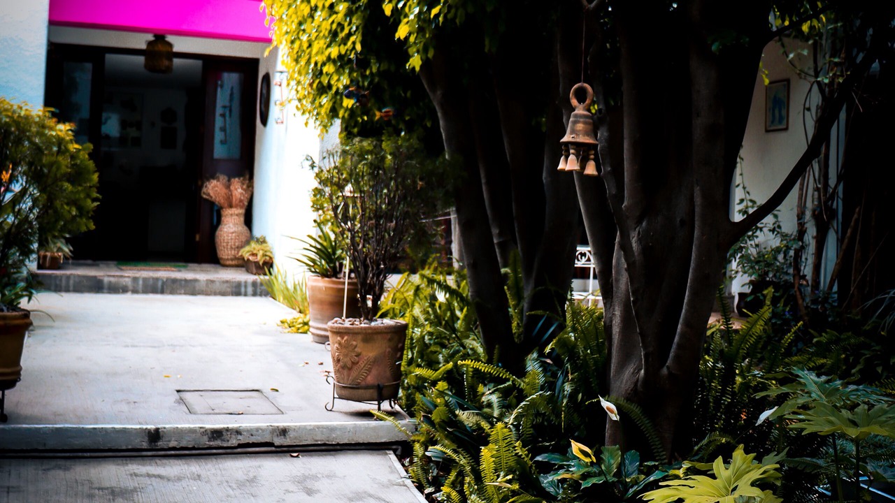Photo of Outdoor in Del Carmen